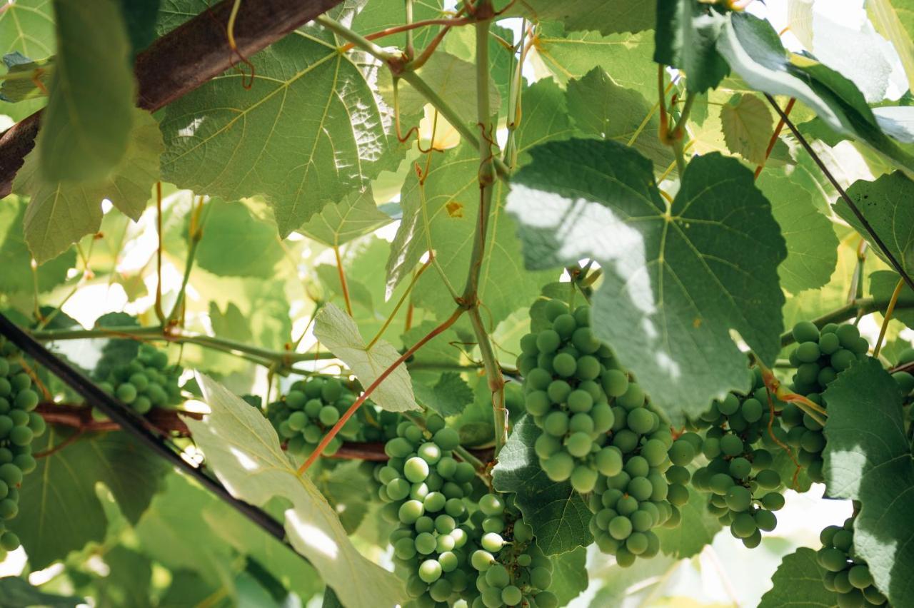 San Cassiano  Tenuta Tresca Suites - Dimora Storica المظهر الخارجي الصورة